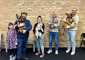 Chicago Dog Training Anything Is Pawzible