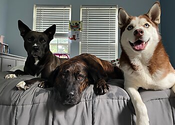 Anytime Home and Pet Service LLC Chesapeake Dog Walkers image 1