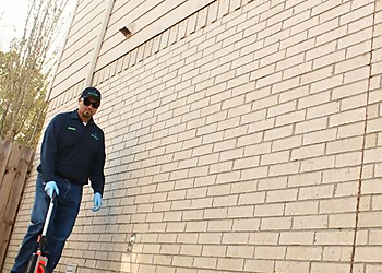 Pasadena Pest Control Companies Anytime Pest Elimination