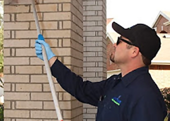 Pasadena Pest Control Companies Anytime Pest Elimination