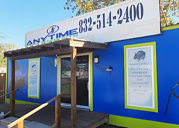 Anytime Pest Elimination Pasadena Pest Control Companies image 1