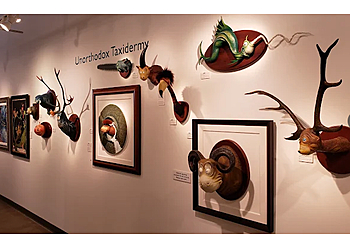 Austin Art Galleries Ao5 Gallery