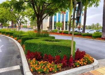 Apelinc Landscape Services, Inc. - Newport Beach, CA Landscaping Companies - Commercial Service Image