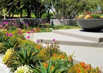 Apelinc Landscape Services, Inc. - Newport Beach, CA Landscaping Companies - Service Highlights
