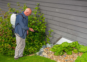 Anchorage Pest Control Companies Apex Pest Control Solutions