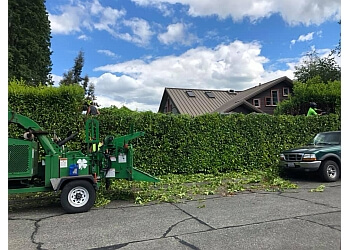 Apex Tree Experts Tacoma Tree Services image 1