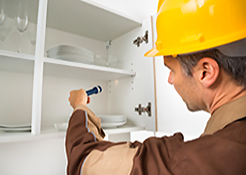 Bridgeport Pest Control Companies ApolloX Pest Control