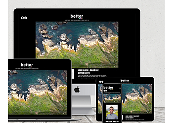 Thornton Web Designers Appelhans Designs, LLC.