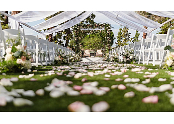 Chandler Wedding Planners Apropos Creations