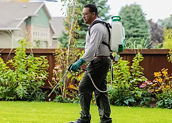 Fort Worth Pest Control Companies Aptive Environmental