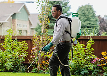 Aurora Pest Control Companies Aptive Environmental Aurora