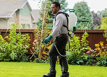 Grand Rapids Pest Control Companies Aptive Pest Control