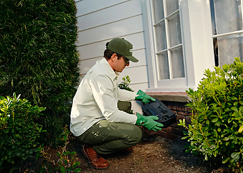 Aptive Pest Control - Lakewood, CO Pest Control Companies - Project Completion Image