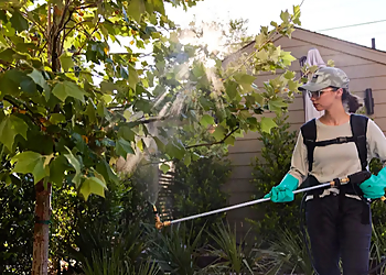 St Louis Pest Control Companies Aptive Pest Control