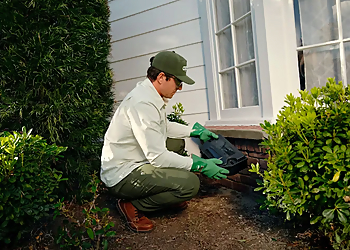 Aptive Pest Control San Bernardino - San Bernardino, CA Pest Control Companies - Service Image
