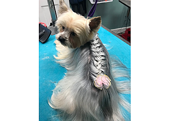 Chattanooga Pet Grooming Aqua Dog Grooming