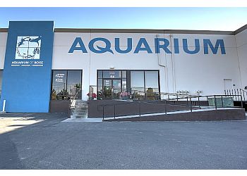 Aquarium Of Boise Boise City Places To See