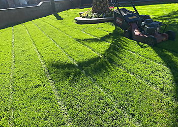 Ontario Landscaping Companies Arbol Roble Landscaping Services