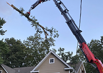 Paterson Tree Services Arbor Ace Tree Service LLC