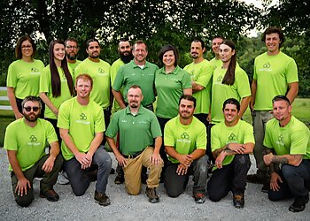 Omaha Tree Services Arbor Aesthetics Tree Service