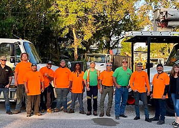Tampa Tree Services Arbor Bay, Inc