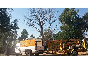 Arbor Elite Tree Company Billings Tree Services