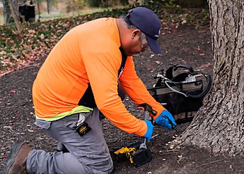 Oklahoma City Tree Services Arbor Masters of Oklahoma City