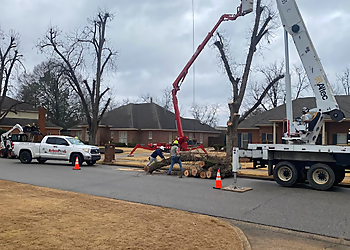 Montgomery Tree Services Arbor Pro Tree Service Company