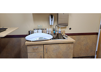 Roseville Veterinary Clinics Arbor View Veterinary Clinic