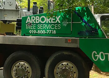 Raleigh Tree Services Arborex Tree Services