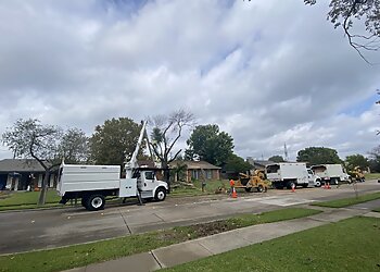 Frisco Tree Services Arboriculture Services