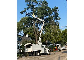 Arboriculture services Arboriculture services