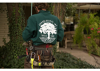 Arborlogical Inc.