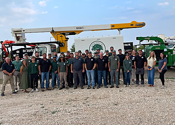 Amarillo Tree Services Arborlogical - SavATree