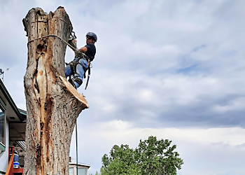 Arborlogical - SavATree Amarillo Tree Services image 1