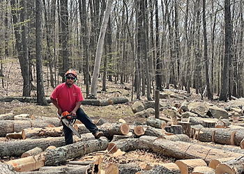 Hartford Tree Services Arbortech Tree Inc.