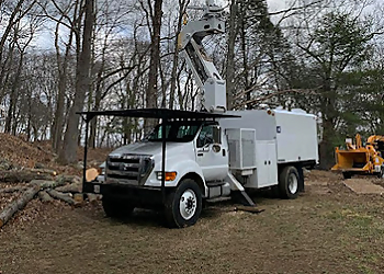 Arbortech Tree Inc. Hartford Tree Services image 1