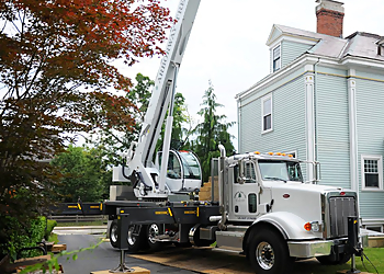 Boston Tree Services Arborway Tree Care