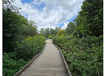 Ann Arbor Hiking Trails Argo Nature Area