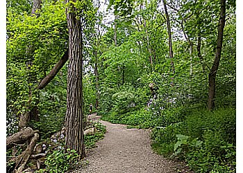 Ann Arbor Hiking Trails Argo Nature Area