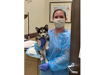 Gilbert Veterinary Clinics Arizona Animal Wellness Center