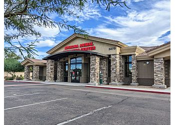 Arizona Animal Wellness Center Gilbert Veterinary Clinics