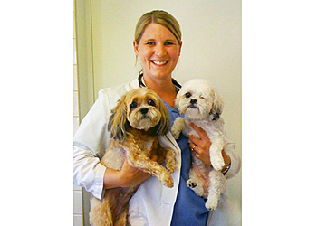 Arizona Avenue Animal Clinic - Chandler, AZ Veterinary Clinics - Service Highlights