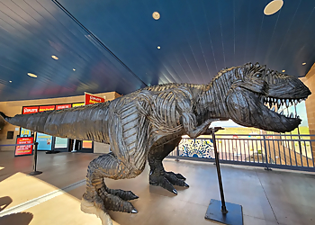 Scottsdale Amusement Parks Arizona Boardwalk