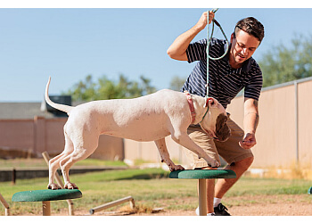 Chandler dog training Arizona Canine Center