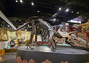 Mesa Places To See Arizona Museum of Natural History