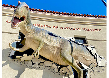 Mesa places to see Arizona Museum of Natural History