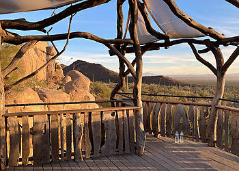 Tucson Places To See Arizona-Sonora Desert Museum