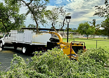 Arizona Tree Trimming & Removal Scottsdale Tree Services image 1