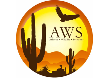 Phoenix animal removal Arizona Wildlife Solutions